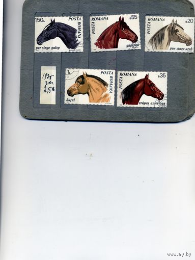 РУМЫНИЯ, 1970, Породы лошадей  6м    гашен