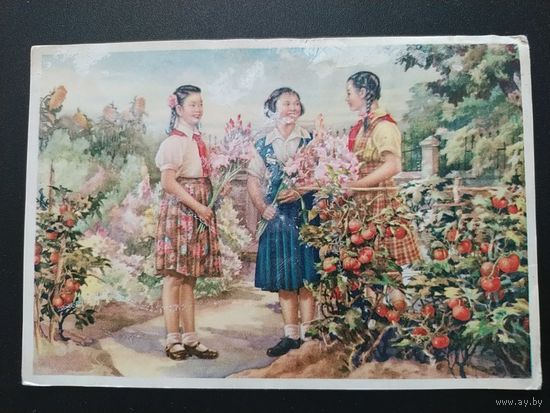 Сад Родины