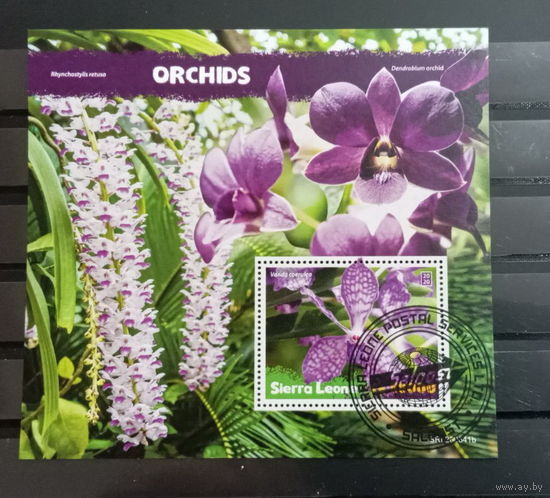 ЛИСТ ФЛОРА ЦВЕТЫ ГРИБЫ  СТО