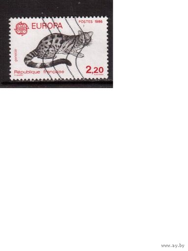 Франция-1986,(Мих.2546) ,  гаш.,  Фауна, Кошки