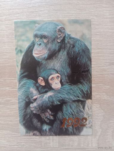 Календарик 1992
