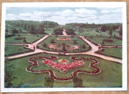 Минск. Ботанический сад. 1959 г. Чистая.