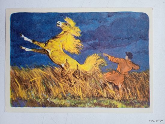 1957. Кочергин. "Сивка-бурка"