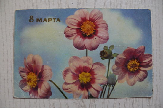 Игнатович Е., 8 Марта, 1966, подписана.