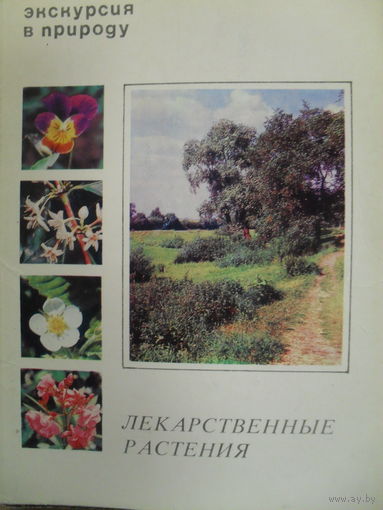 КОМПЛЕКТ ИЗ 25 ЧИСТЫХ ОТКРЫТОК "ЛЕКАРСТВЕННЫЕ РАСТЕНИЯ".