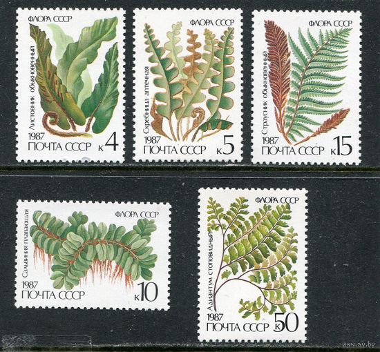 СССР 1987. Флора. Папоротники