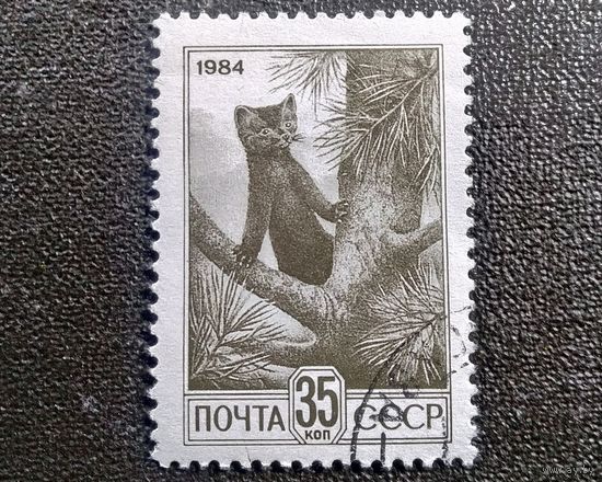 Марка СССР 1984 год Стандартный выпуск