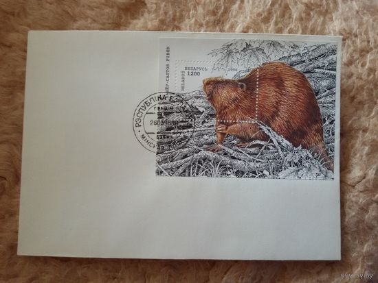 Беларусь. КПД. 1996. Бобер
