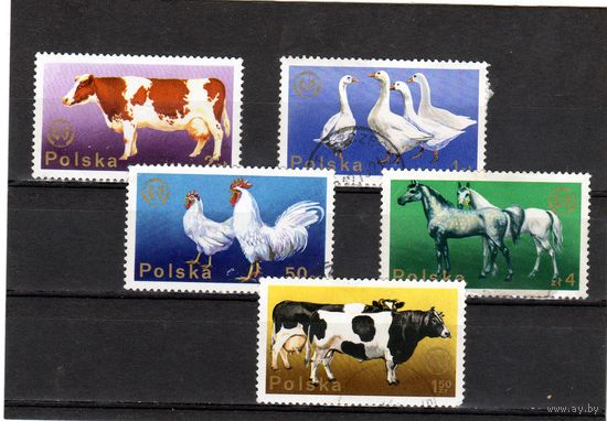 Польша. Mi:PL 2378-2384.XX съезд Европейской зоотехнической федерации, Варшава.1975.