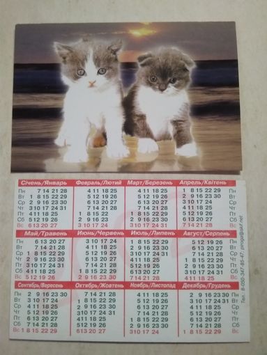 Карманный календарик . Котята. 2002 год