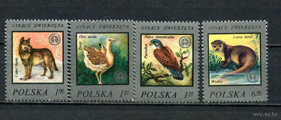 Польша - 1977 - Фауна - [Mi. 2504-2507] - полная серия - 4 марки. MNH.  (Лот 86HG)-T41P34
