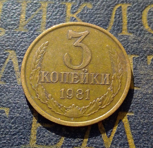 3 копейки 1981 СССР #28