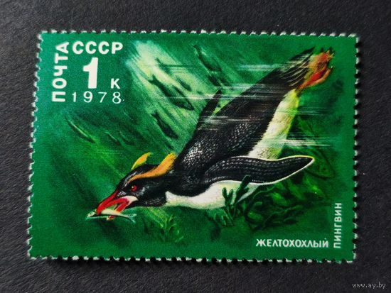 1978 СССР. Арктическая Фауна. Жёлтохохлый пингвин