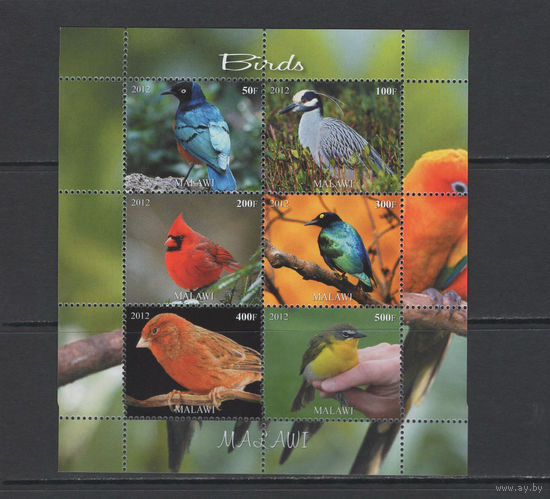 Малави 2012  Птицы