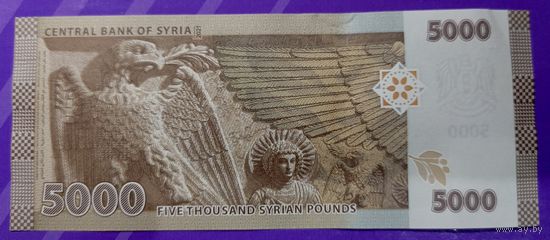 5000 фунтов Сирия