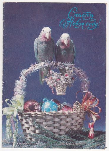Открытка 1993 (485)
