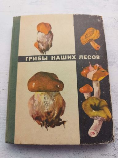 Грибы наших лесов. 1970