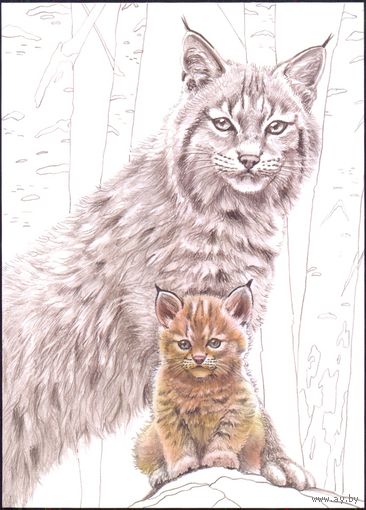 Беларусь 2020 фауна рисунок рысь и рысёнок