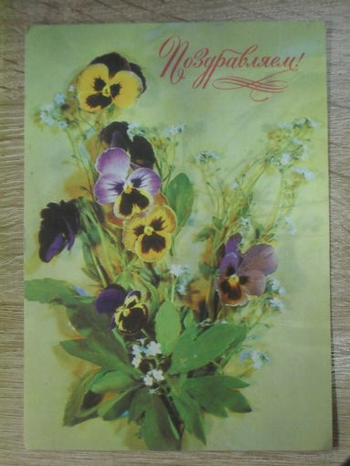 ПОДПИСАННАЯ ОТКРЫТКА СССР. "ПОЗДРАВЛЯЕМ". ФОТО. И. ДЕРГИЛЕВА. 1978 ГОД.