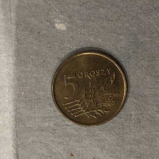 Польша 5 грошей 1998 год (штемпельный блеск)