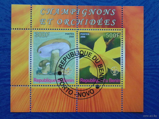 Бенин 2008г. Флора.
