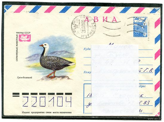 СССР 1978. ХМК. Конверт п.п. Авиа. Фауна. Гусь-белошей