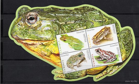 Намибия 2011. Фауна. Лягушки блок (1366)