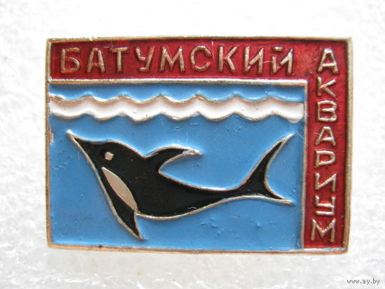 Батумский аквариум, дельфин.